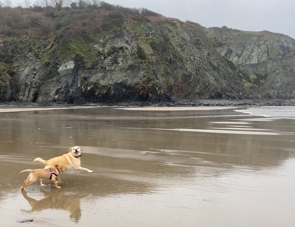 whizzylaw's tweet photo. When it’s your first time at the beach and you fall in a rock pool and your big sister runs waaay too fast.  That. #Sodden #Soddit #Wales https://t.co/wI0T8DebLi