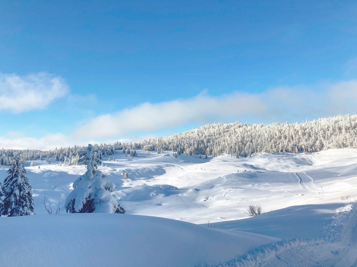ThibaultSaussac's tweet photo. Conditions parfaite à Font d’Urle aujourd’hui !!!! 
@ladrometourisme @La_drome @LeVercorsDrome #skating #mountains https://t.co/ichsyYX6oo