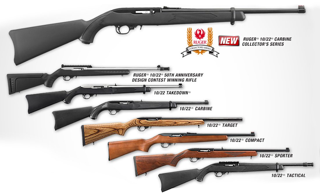 The Ruger 10/22 is widely considered the best first rifle for people: cheap (~$250), cheap ammo (500 bullets ~$30), no recoil, easily maintained, hard to break, etc