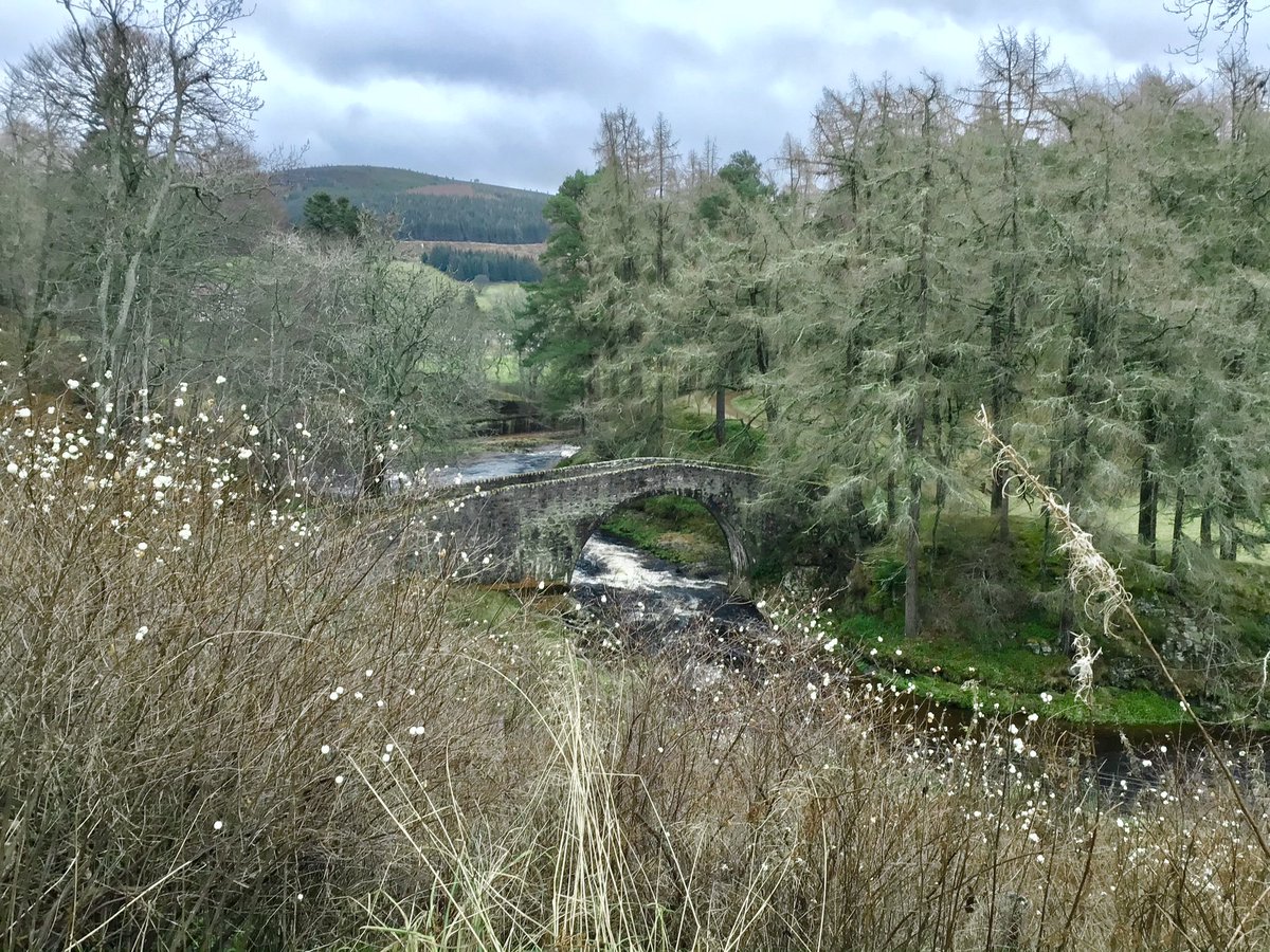 TheMackWalks's tweet photo. Today, Bellabeg💙 #walking #hiking #Bellabeg #Strathdon #PoldullieBridge #ColquhonnieCastle #Aberdeenshire #visitABDN https://t.co/G5EIMa7I2J