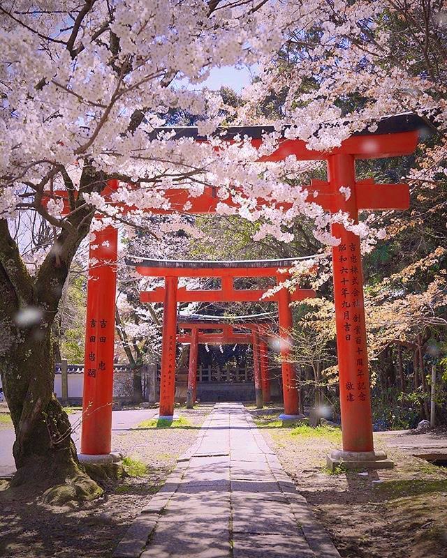 MoodJapan tweet picture
