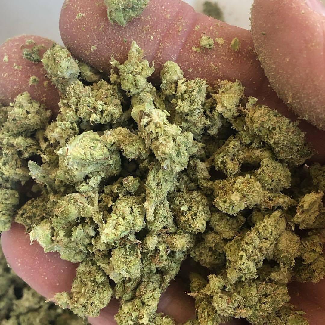 BrettOneil11's tweet photo. Who is up for try,?
#freesample #CannabisCommunity #cannabis #CannabisLegal #twittercannabislovers https://t.co/I0hucJRaEO