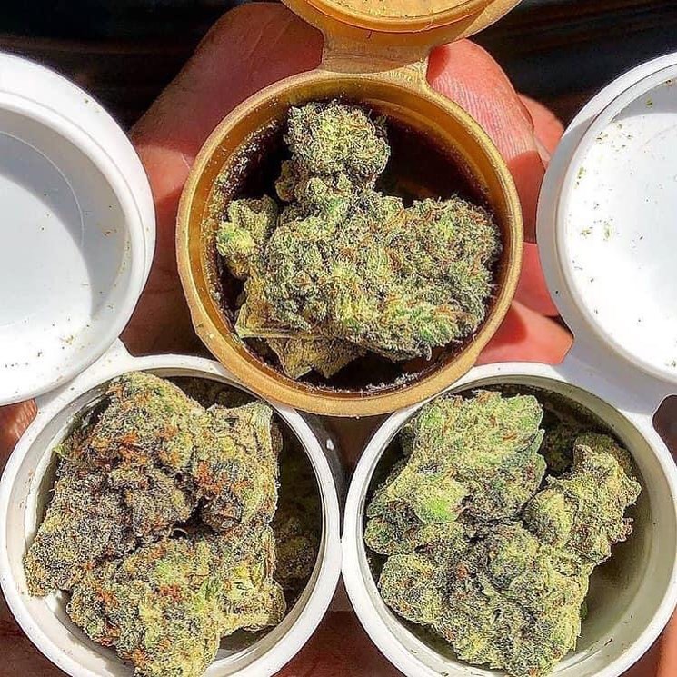 BrettOneil11's tweet photo. Cookies
#CannabisCommunity #CannabisLegal #cannabis #kush 
#medicalmarijuana https://t.co/ajjUA93JE8