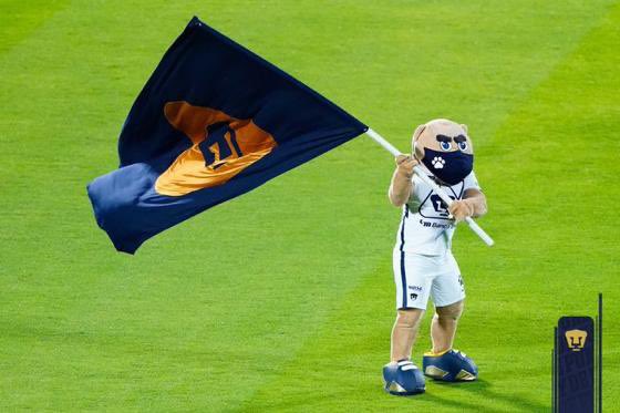 ¡Vamos con todo Pumas!
¡GOYA, GOYA, UNIVERSIDAD!