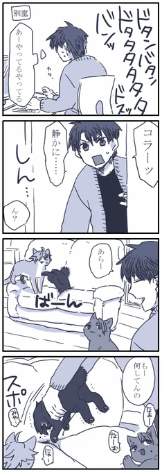 ネコチャンたちがハッスルした話 