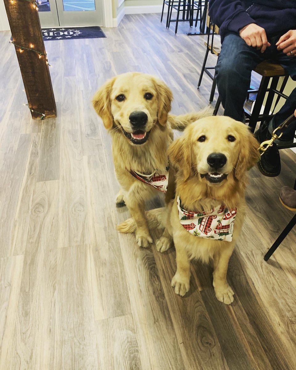 OCBrew's tweet photo. We will be open today from 12-8🍺
You can bring your pup in and watch the NFL games🏈🐶
Reservations are encouraged but walk ins are welcome if we have space.
Make a reservation at📍
https://t.co/KC4c7jZceR https://t.co/0dzU49xdvM
