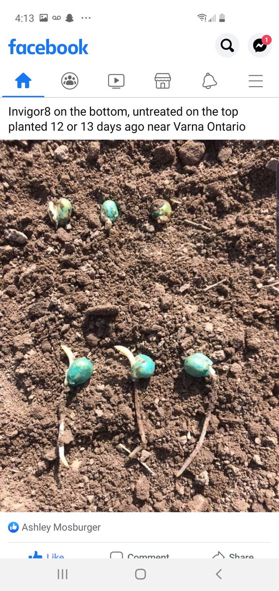 MosburgerA's tweet photo. Liquid Seed Emergence Aid option for #plant21
@GenesisAgUSA #Invigor8+
DM for more information. https://t.co/0EtcamyhZR