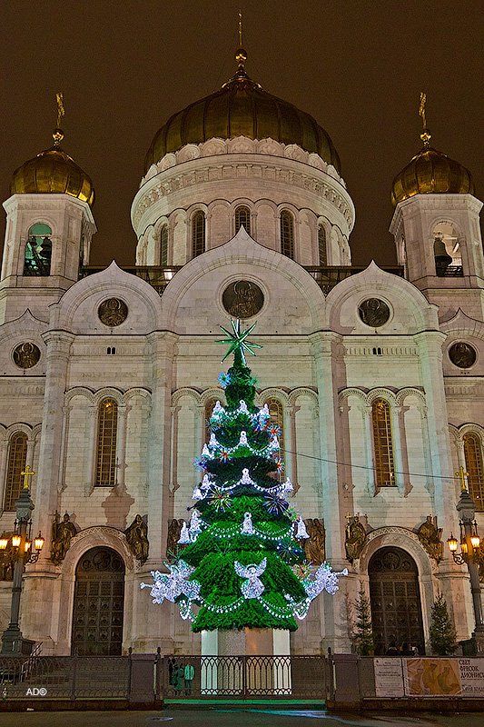 Елка храм христа спасителя 2020. Елка в храме христа спасителя. Храм христа спасителя елка зал. Елка в храме христа спасителя 2021. Храм христа спа ителя рождество.