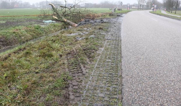 #Ontwortelde #boom stille getuige #busongeluk #Hegedyk #Weidum: #chauffeur is #overleden - ..