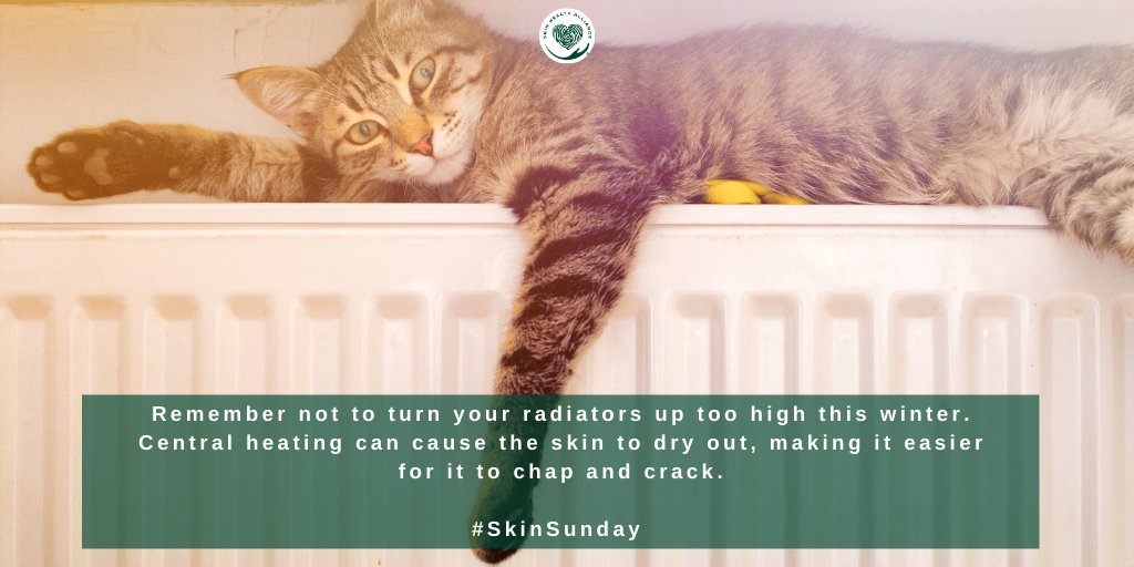 skinhealthall's tweet photo. Don't crank the heating up too high this winter! #SkinSunday ⠀
⠀
#SkinHealthAlliance https://t.co/qAdE0qEF7Y