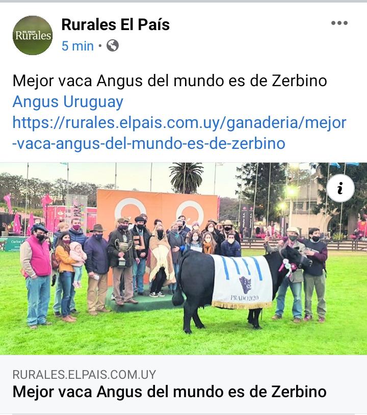 ecarriuy@gmail.com tweet media