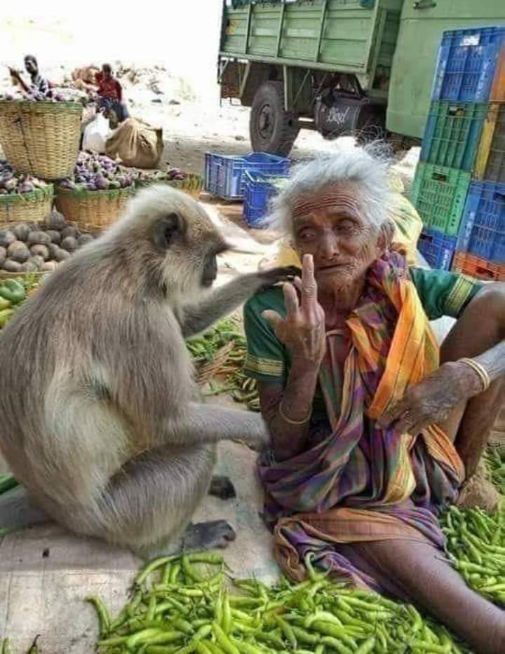 Prabhak08219929's tweet photo. @DeshBhaktReva कर्म चक्र समाप्ती के पश्चात मनुष्य मुक्ती को प्राप्त होता है.
यह चित्र प्राणी मात्र को मनुष्य के प्रती उच्च कोटी भावना का मिलन दर्शाता हैं.कर्म उचित होने से परमेश्वर भी किसी ना किसी रूप में अपने भक्त को सहारा देते हैं 
जय श्री राम #tuesdaymo https://t.co/nLpDf5V5nZ