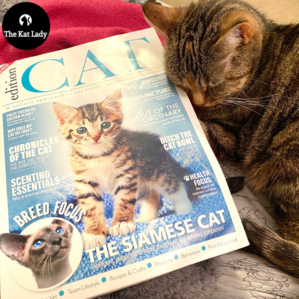 I’m a day late posting a link to this weeks blog as I had so much work on. This week it’s a look at the first issue of new magazine <a href="/editioncat1/">Edition Cat Magazine</a> Aimed at #catlovers and focusing on holistic wellbeing. <a href="/naturallycats1/">Naturally Cats</a> 

thekatlady.co.uk/the-kat-lady-b…
