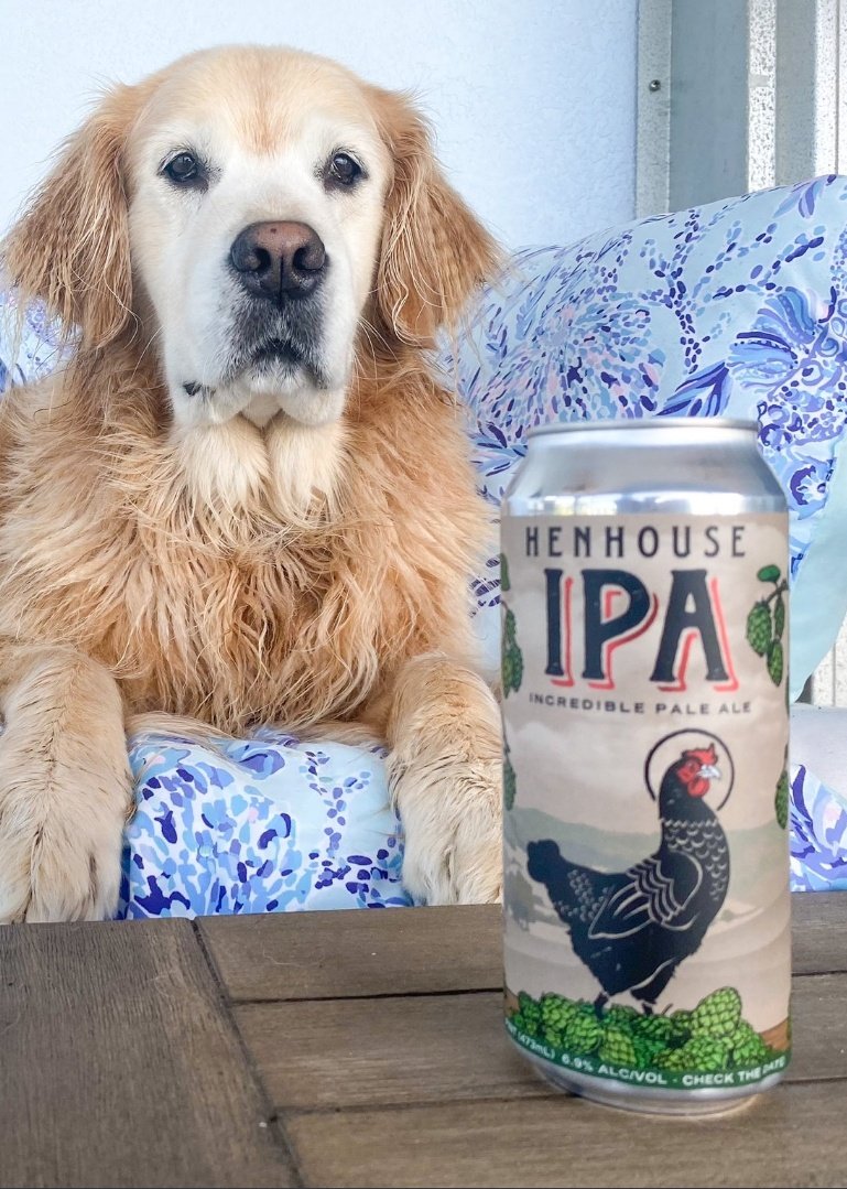 EmoHopperTDog's tweet photo. The amount of dogs in this house has caused me to turn to into an alcoholic. At least it helps with the pain of getting no attention. 🙁 https://t.co/0L1za7Q21Z