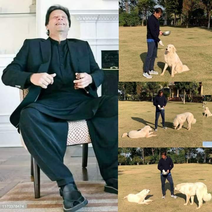 AmirKhanBlouch3's tweet photo. #گیارہ_چور_بمقابلہ_خان
@AmirKhanBlouch3 
Mind Over Matter!!👊
I Don't Mind And They Don't Matter 😎

#Kaptan ❤️❤️

#RRAK | #SargodhaKaKaptan | https://t.co/fYFFmwhEWW