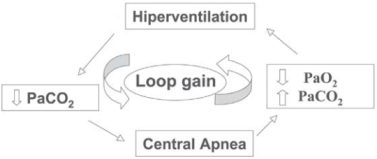 13/Overcompensation ensues, as the brain eventually responds to hypercapnia w/ tachypnea + hyperpnea. This drives pCO₂ down and the cycle repeats. The technical term for this phenomenon is loop gain (a concept borrowed from electrical circuitry).  https://pubmed.ncbi.nlm.nih.gov/16138241/ 