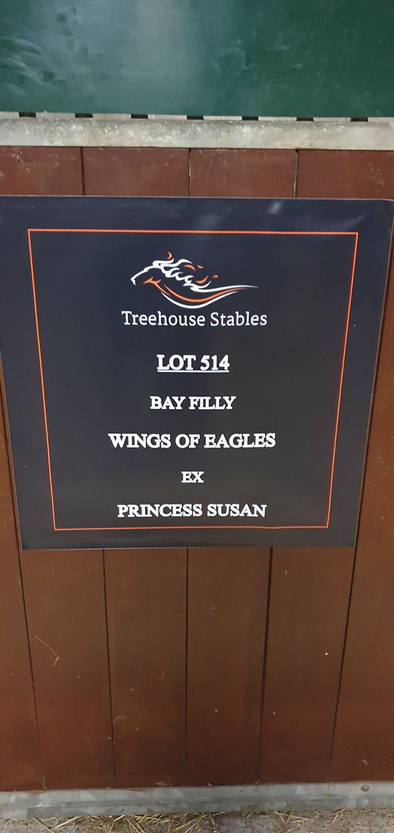 Danielle Deveney tweet media