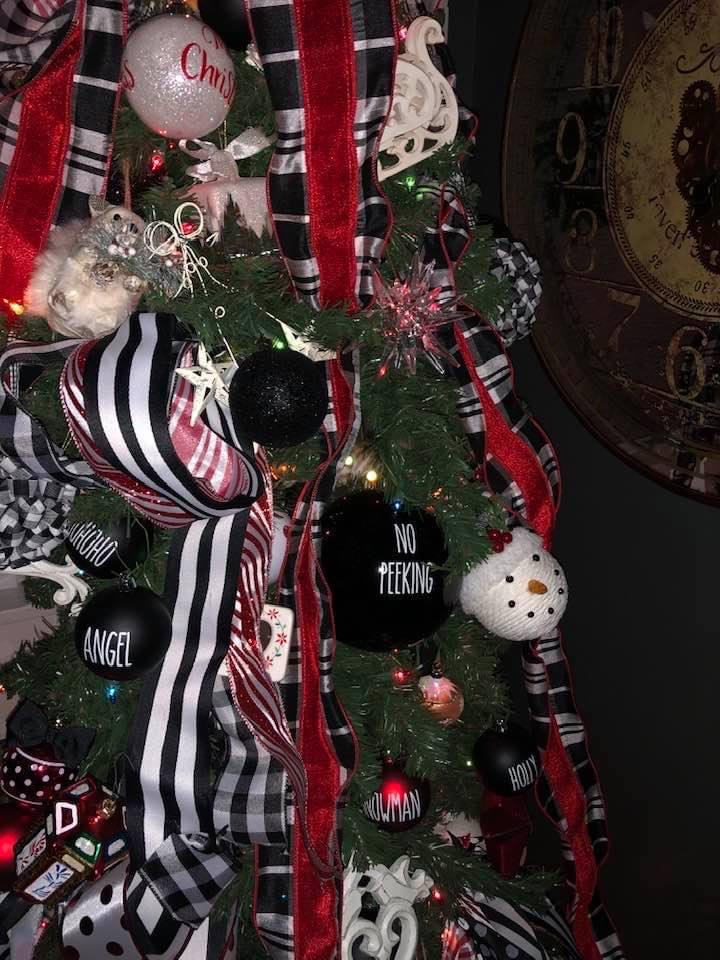 How long before you found the cat?