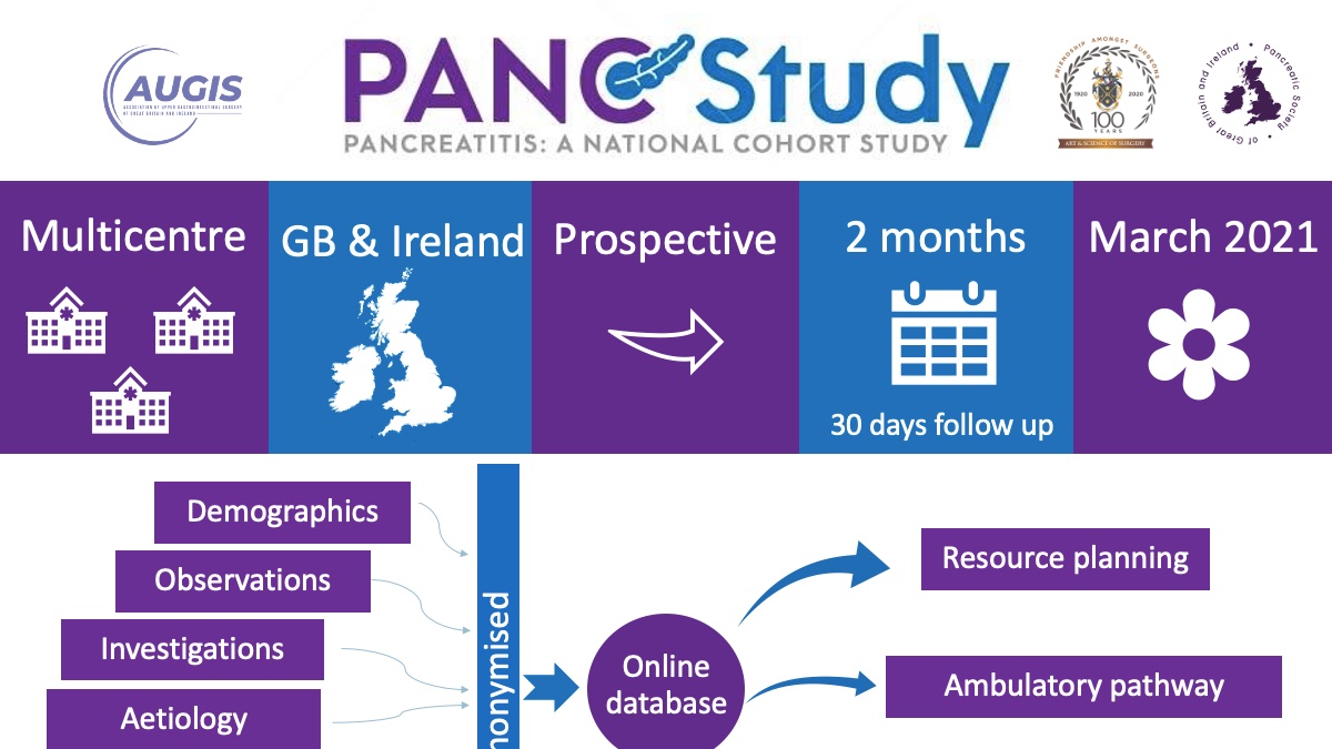 Panc_Study's tweet image. 