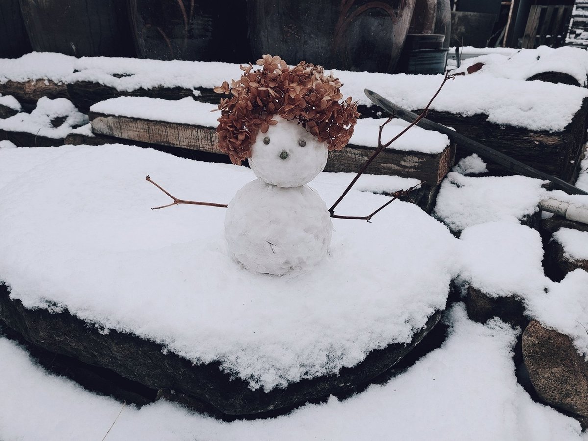 Zinnia77's tweet photo. 2020년 12월 13일 첫 눈 ❄❄❄
올해는 눈사람 머리에 신경 좀 썼지 ㅋ

#앞마당 #첫눈 #firstsnow #snowman #snow #눈사람 #수국 #naturephotos https://t.co/kGODQwuAm9