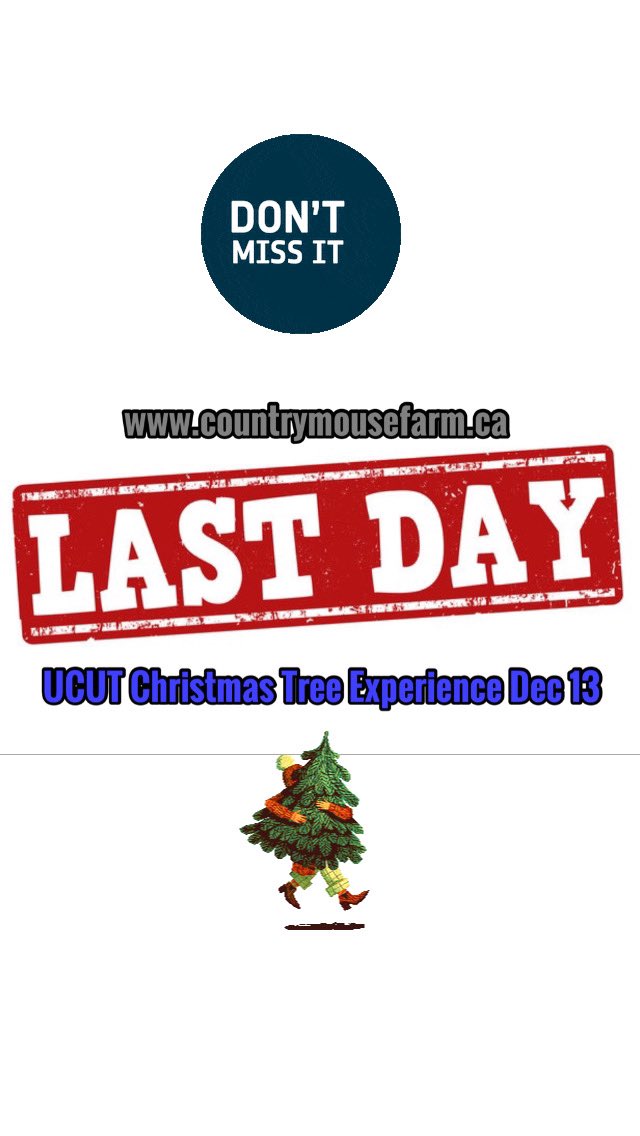 MHTreeFarm's tweet photo. Today is our FINAL DAY of our UCUT Christmas Tree Experience for the 2020 season! Book your appointment today. #medicinehat #ucutchristmastrees #spiritoftradition #supportlocalbusiness #supportsmallbusiness https://t.co/1MA3eKMejF