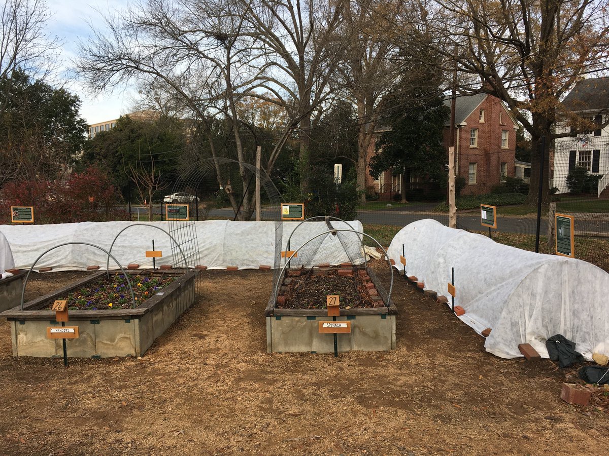 In addition to launching our website, the Undergraduate Research Consultant Team I am directing has also completed the installation of a temporary exhibit called The D'Arcy McNickle Interpretive Garden at the Carolina Community Garden on UNC-Chapel Hill's campus!