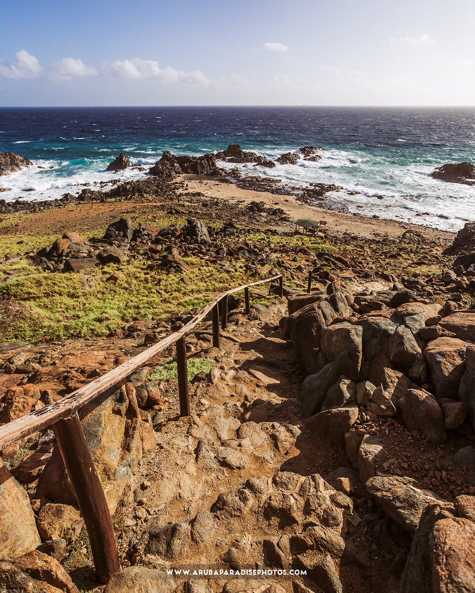 Only people that want to explore Aruba know where this path leads to! 
#aruba 
 
___⠀
If interested in one of many photos, visit arubaparadisephotos.com or contact me with a pm.

#onehappyisland #island #caribbean #naturephotography #naturalbridge #islandvibes #beach #oceanview