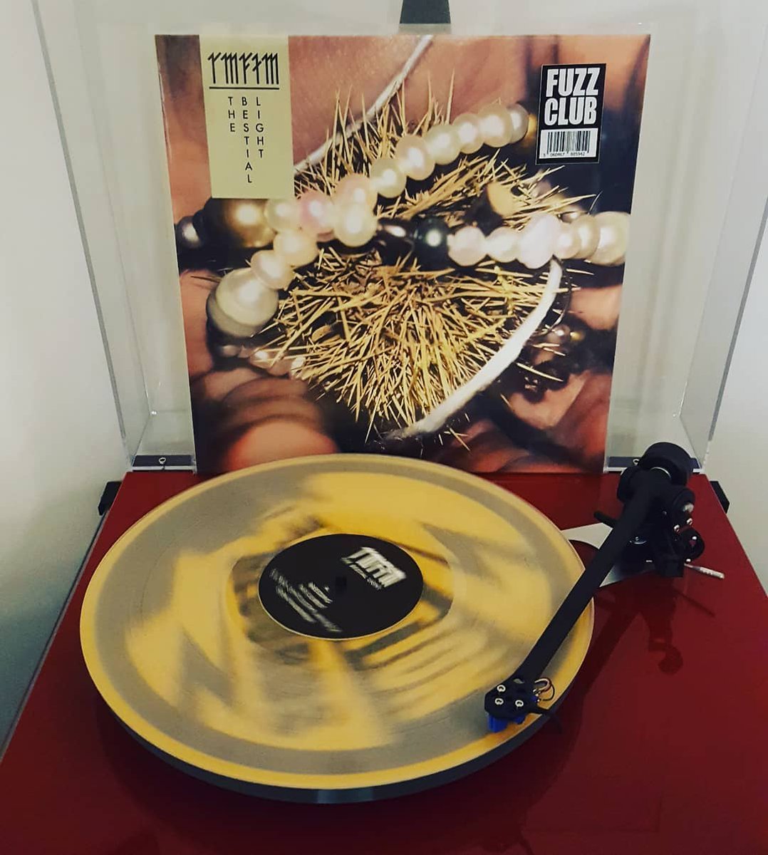 pieroPRZ's tweet image. one of the best records of the year by #radarmenofthemoon, courtesy of @normanrecords ! #recordstoreoftheday