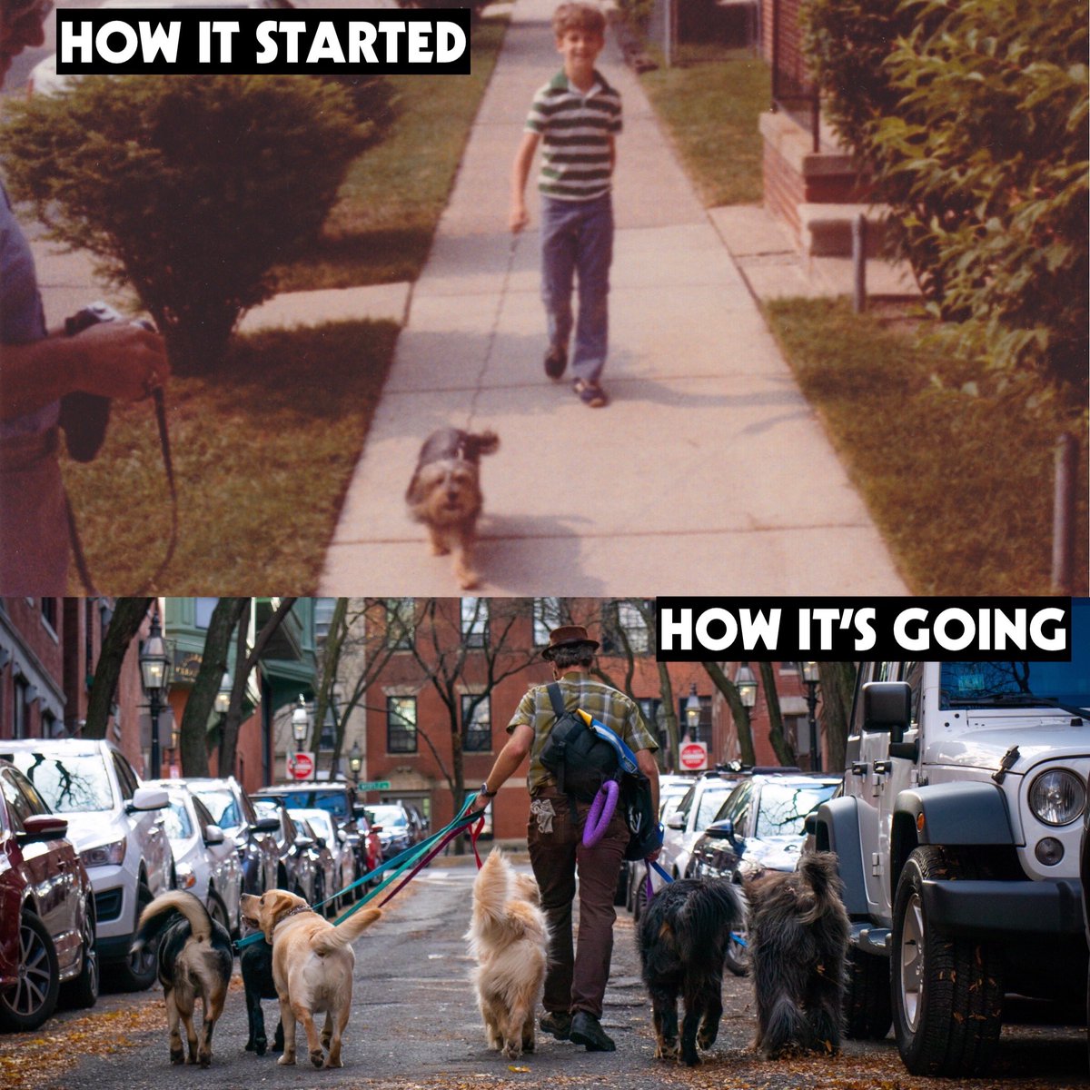 Steven Watson tweet media