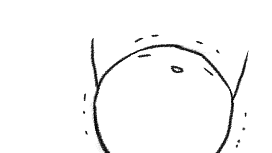 おわった…これでまんがが描ける…(いままでもまんがを描いていたのですが別のまんがを描きます)(それが終わったらまた更に別のまんがを描きます) 