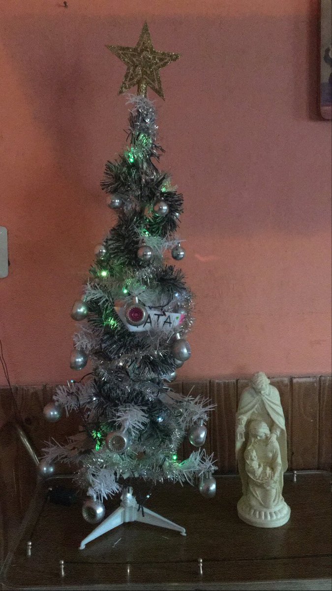 el árbol de mi amiga de nueva zelanda || el árbol de mi amiga yankee || mi árbol