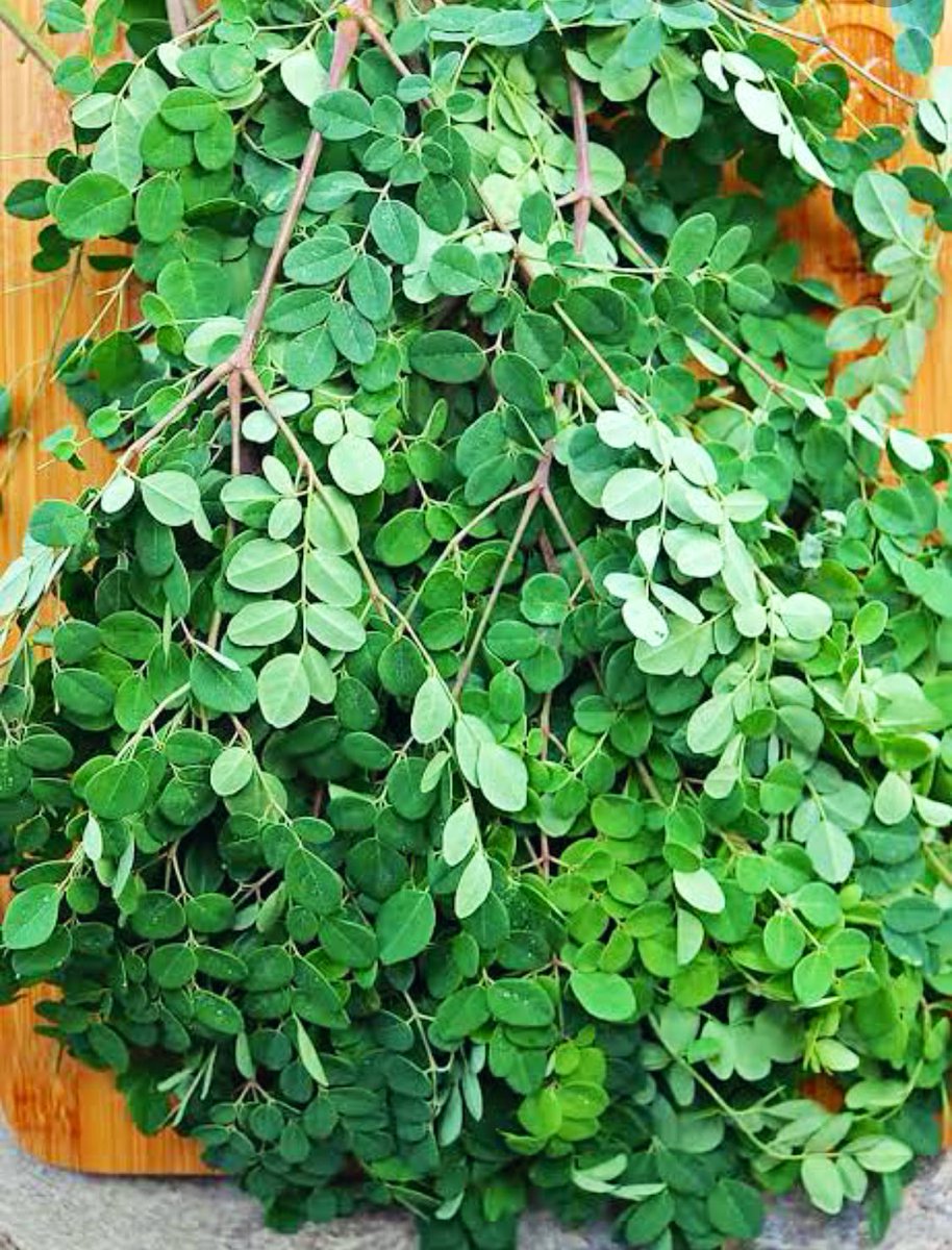 100g contain64 kcal8.28g carbs2.0gm fibre1.40gm fat9.40gm protein378ug vitA0.257 B10.660 B22.220mg B30.125mg B51.200 B640ug B951.7mg vitC 185mg calcium4.00mg iron147mg magnesium0.36mg manganese112mg phosphorus337mg potassium9mg sodium0.6mg zincantioxidants