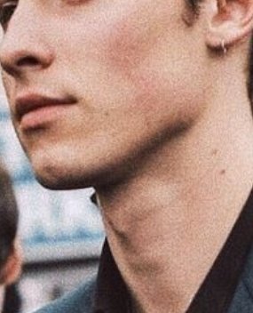 Shawn Mendes' jaw and neck: a necessary thread