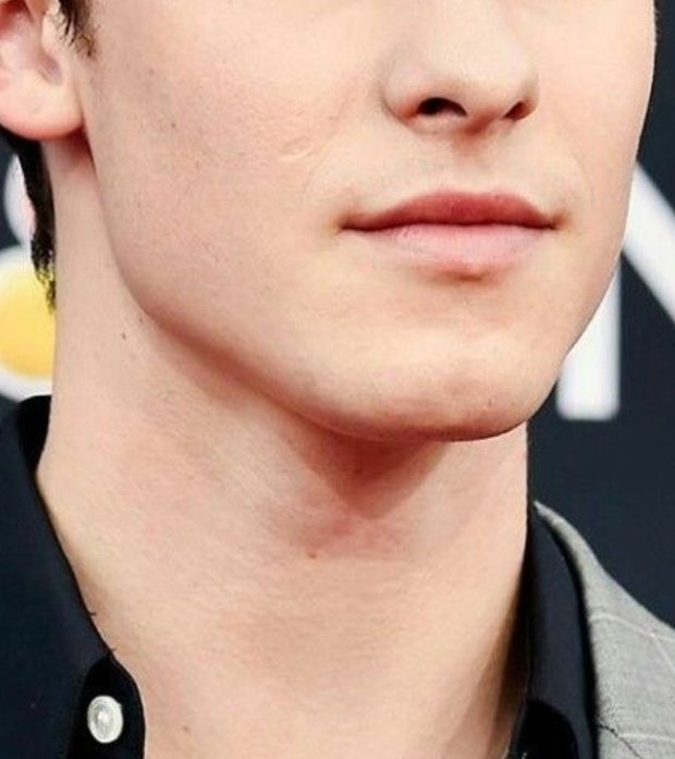 Shawn Mendes' jaw and neck: a necessary thread