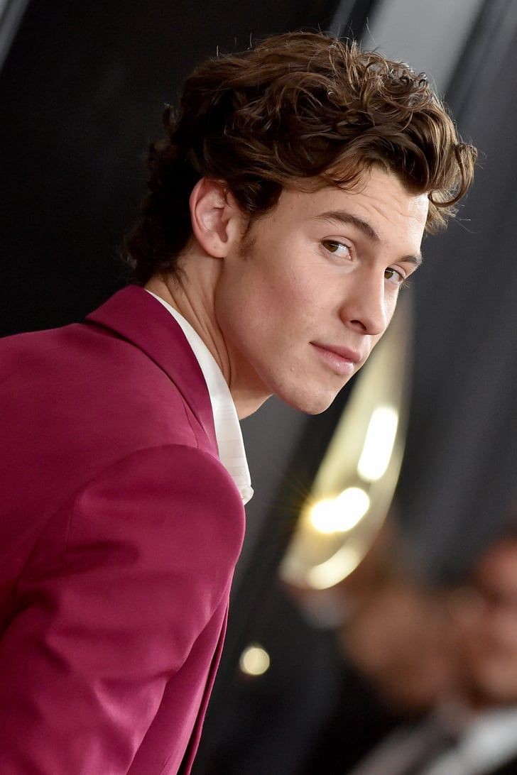 Shawn Mendes' jaw and neck: a necessary thread