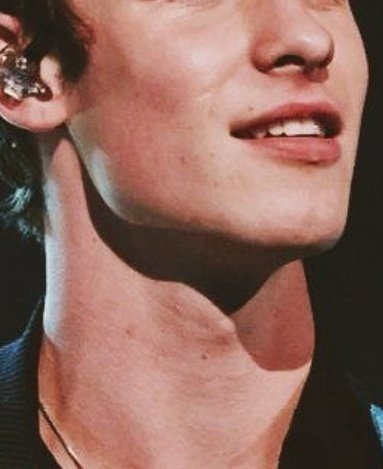 Shawn Mendes' jaw and neck: a necessary thread