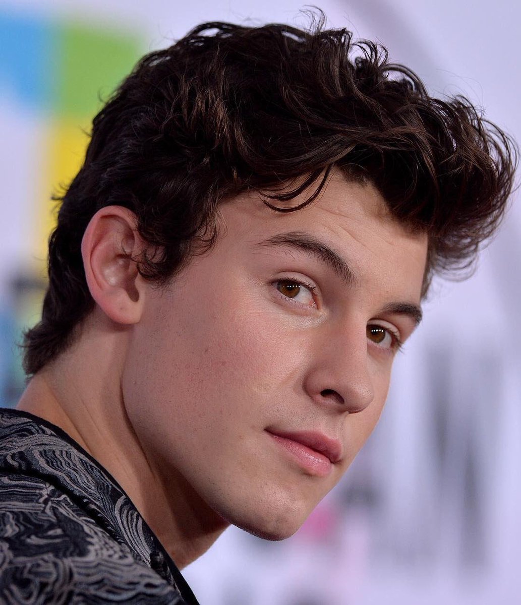 Shawn Mendes' jaw and neck: a necessary thread