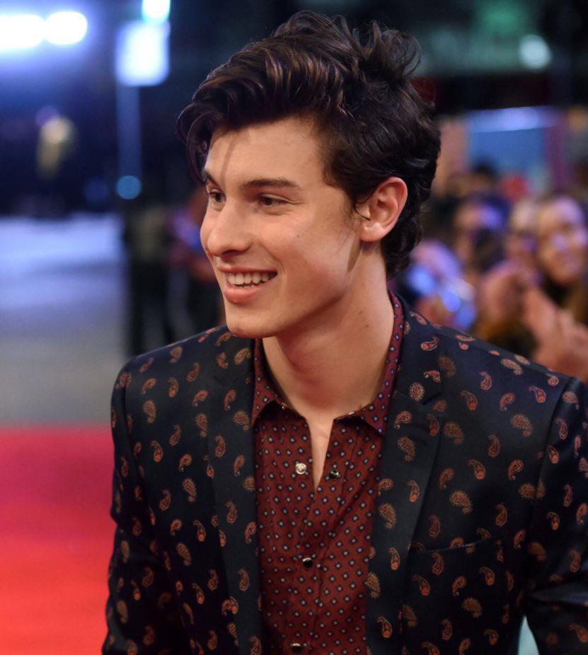 Shawn Mendes' jaw and neck: a necessary thread