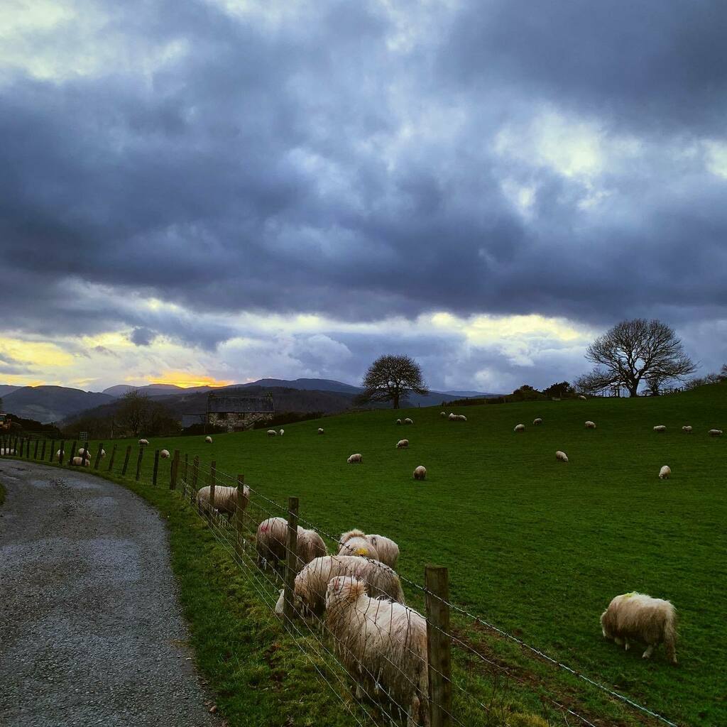 FoundLove_Blog's tweet image. Driving home and catching a sliver of a winter sunset. I’ve found that living in Wales surrounded by so many beautiful spots, it’s easy to fall in love with these views. 😍🏴󠁧󠁢󠁷󠁬󠁳󠁿 instagr.am/p/CIvqVulhhJK/