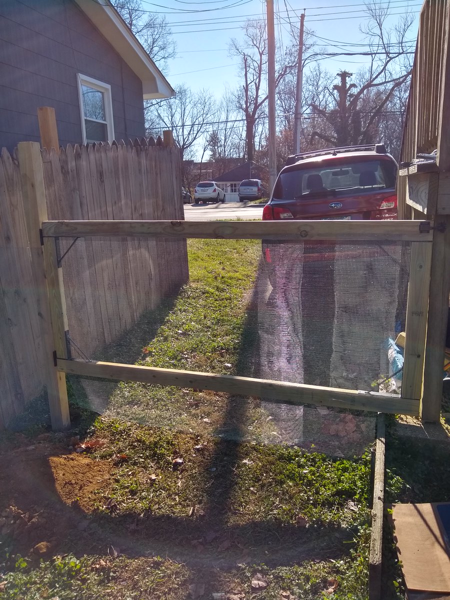 Finally finished the gate this morning. The fence covering it looks a little slapdash. A friend suggested some fence planks instead. But for the time being the rabbit fencing will work just fine. #DIYRobb