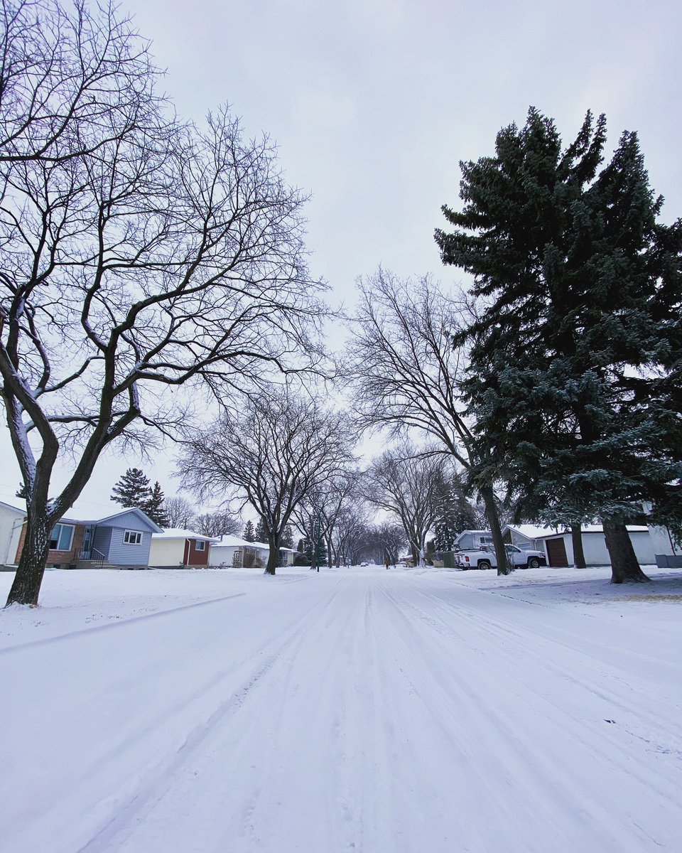 mitchrosset's tweet photo. Running in a winter wonderland ❄️ https://t.co/yRArtl1y3Y