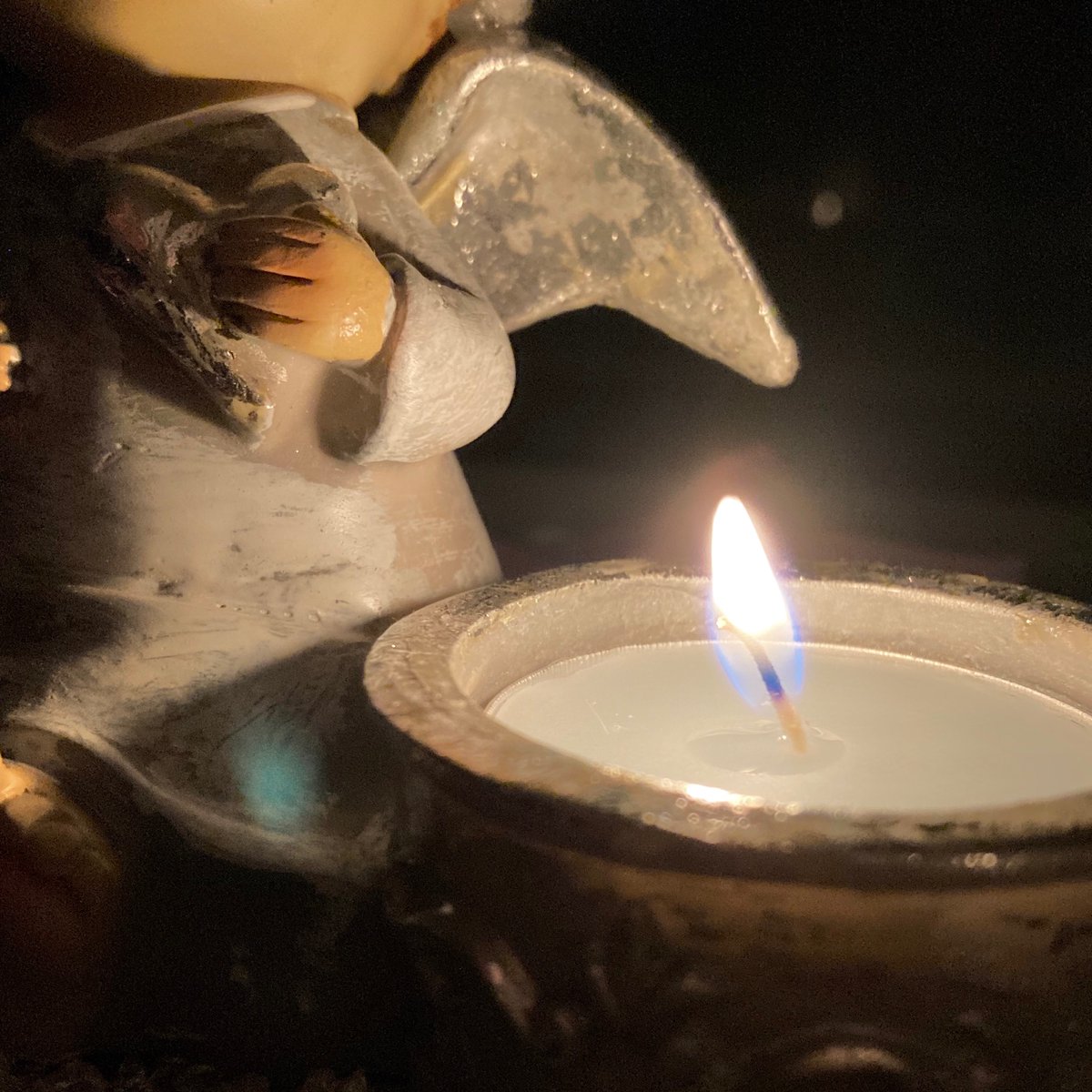 LunaLife's tweet photo. Vandaag gaat er een golf van liefdevol licht over de wereld ✨ Voor de kinderen die niet bij ons bleven. Voor de ouders die hen moeten missen. Ik denk aan jullie 🕯💗🕯

#wereldlichtjesdag #kaarsjebranden #rouw #liefde #troost #koester #herdenken #baby #sterrenkindje #waveoflight https://t.co/8cNEmiVseX