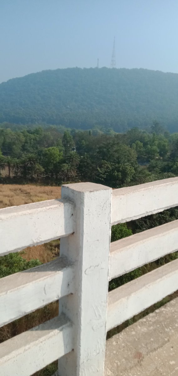 MuskanBibi9's tweet photo. A thing of beauty is the joy forever ❤️
Beautiful Odisha
Ichhabati Pur, Dhenkanal
#travelphotography #travellove #naturelover #exploringday #natureishealing #love #beautifulodisha #villagebeauty https://t.co/qrjyTeCU9G