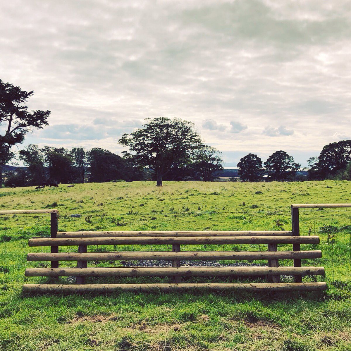 lurcherwork's tweet photo. #newbuild #huntjump #timber #jump #equestrian #horsesports #foxhunting #hunting #hunter #draghunting #trailhunting #crosscountry #huntertrial #countryman #jumpbuilding #jumpbuilder #countrylife https://t.co/6jw8CQWlWw