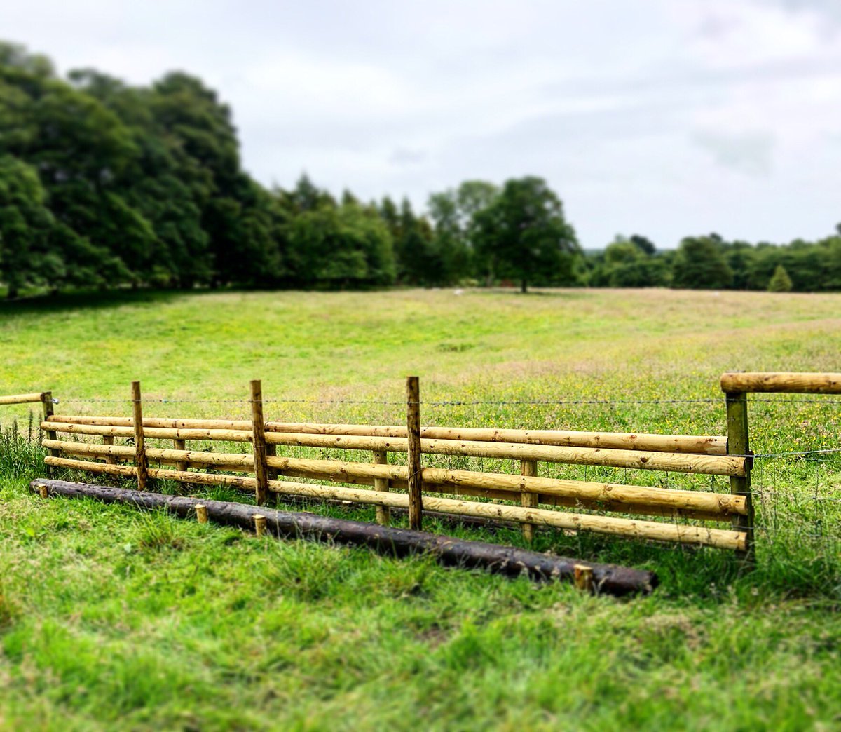 lurcherwork's tweet photo. #newbuild #huntjump #timber #jump #equestrian #horsesports #foxhunting #hunting #hunter #draghunting #trailhunting #crosscountry #huntertrial #countryman #jumpbuilding #jumpbuilder #countrylife https://t.co/6jw8CQWlWw