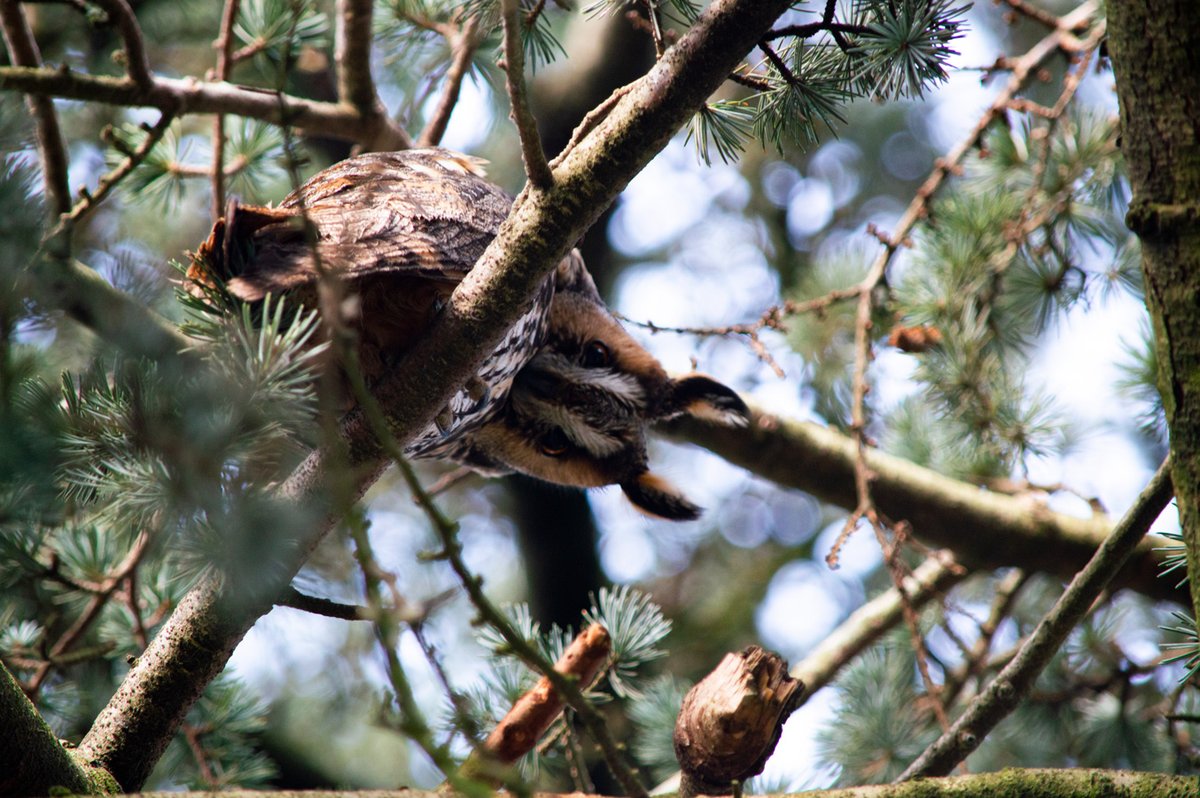 There were more than 20, just so amazing and I’ve never seen anything like this before! So beautiful and all such different personalities. So in love..