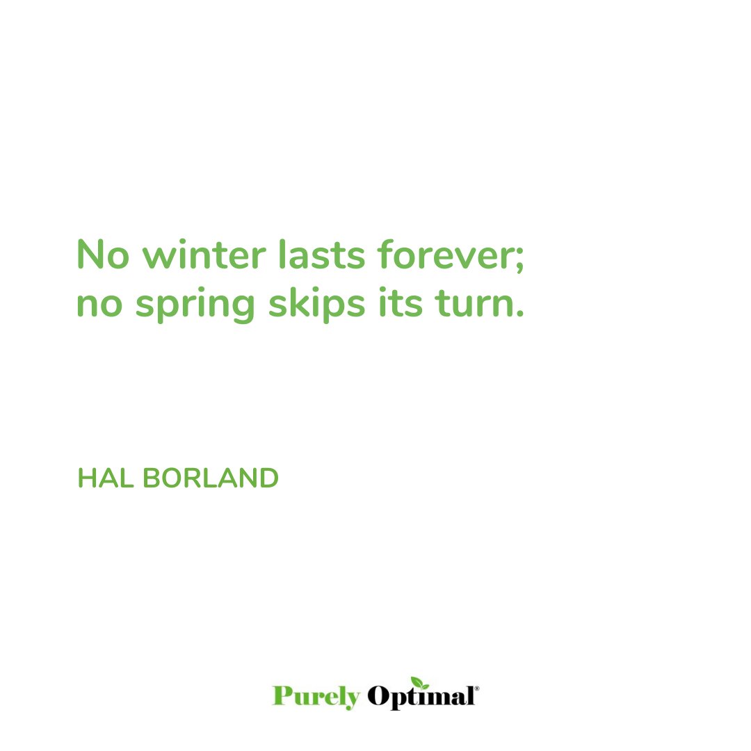 PurelyOptimal's tweet photo. As they say, seasons come and go. They will come at their proper time.

It’s the season to find reasons.

Find your reasons to come out of 2020 stronger and into 2021 braver.

Have a great week to all!

#wintervibes #winterishere #wintermood #seasons #seasonschange #seasonsoflife https://t.co/Ik19iHlLvY