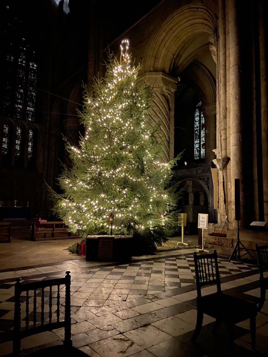 Rebekah Best tweet media