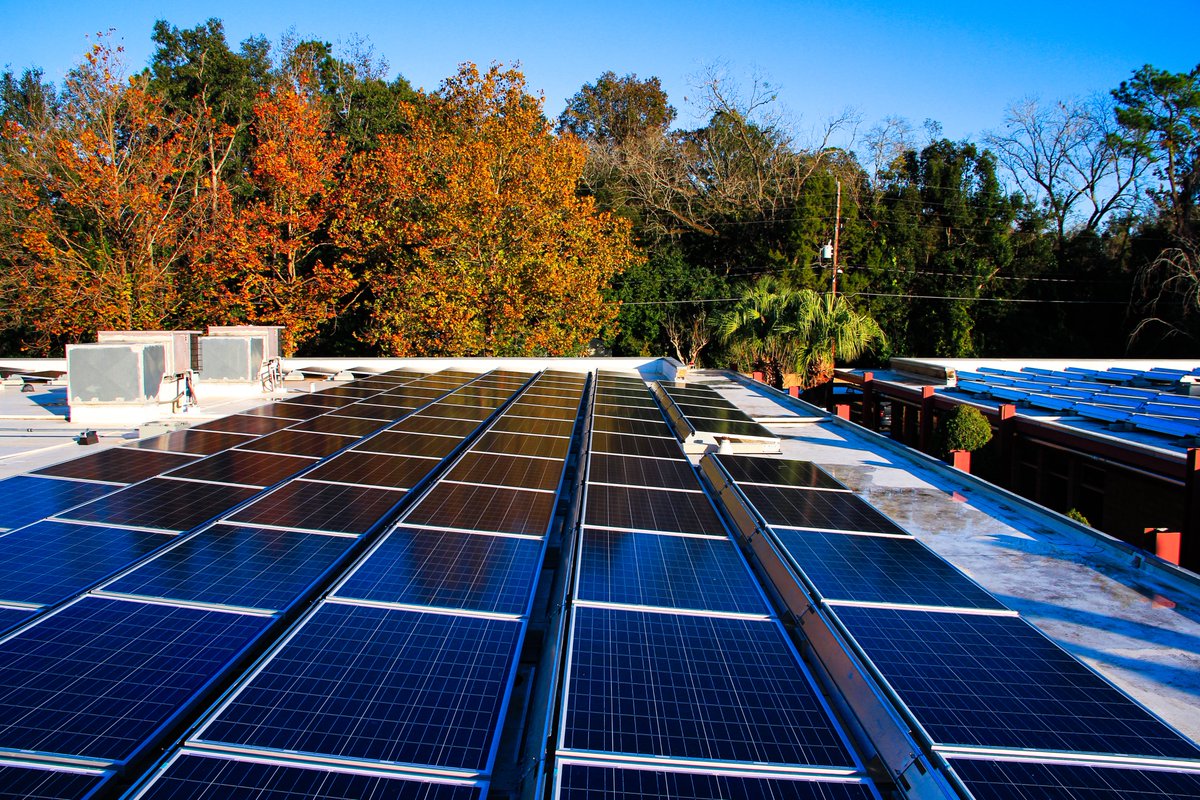 PPMSolar's tweet photo. We love how this system reflects those beautiful fall colors! π Which is the superior season? Like for Fall π π, retweet for Winter βοΈπ
#PPM #powerproductionmanagement #solar #gosolar #solarpowered #solarpower #solarenergy #solarpanels #solarinstallation #worldofsolar #green https://t.co/gZUKC73i7u