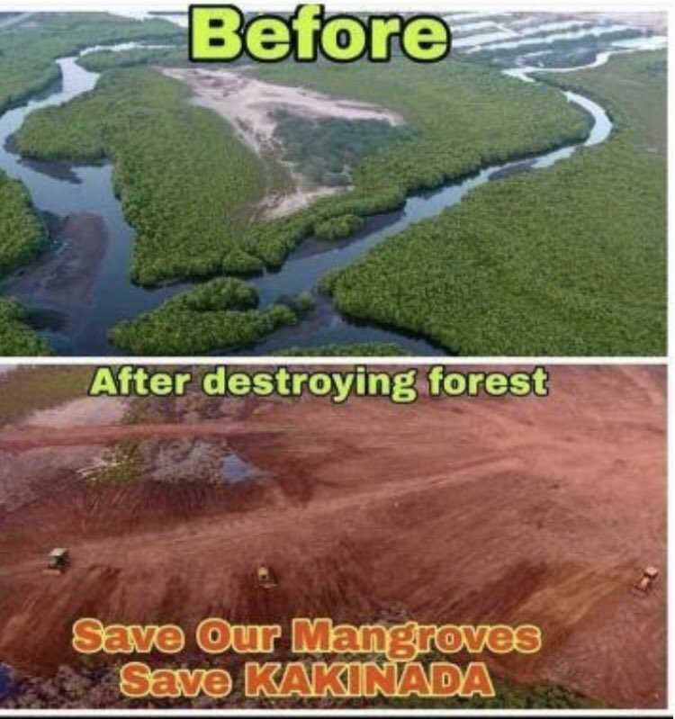 AneraoKailash's tweet photo. @SaveIndianBiod1 @nahluwalia20 @cmo_uttarakhand @moefcc @PrakashJavdekar @Jairam_Ramesh @DrMariaNeira @paragenetics @jonathanwatts @GeorgeMonbiot @ExtinctionR @ErikSolheim @hridayeshjoshi @sagarikaghose @chetanecostani @GopiWarrier @Sushmitav1 @petefillery @RamaNewDelhi @GreenAwakening @the_ecologist @dhruv_rathee @bahardutt @fayedsouza @nivedita_Him @vishwamTOI @JasjeevSinghTOI @ApanditPandit @bhartijainTOI @winterapples @jayashreenandi @htTweets @vidhiverma019 @sofiahsan @ParveenKaswan @rameshpandeyifs @susantananda3 @SudhaRamenIFS @pargaien @s_singh_ifs @drqayumiitk @dharamifs_HP @supriyasahuias @IfsSitanshu #NotifyWetlands - Reminder  @moefcc
@PrakashJavdekar You can't delay another day to notify all 201,503 wetlands as per Indian Supreme Court Order of Feb 2017. Hope you won't mind being reminded every day. @SCofIndi 
@PMOIndia @RamsarConv @martharojasu1 - please intervene. https://t.co/Pip3pa8Cnm